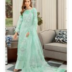 71001B Pakistani Style Suit