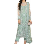 Grayish Lime Green Heavy Net Pakistani Suit