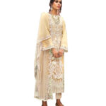 Skin Butterfly Net Pakistani Suit