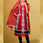 103Red and NavyBlue Georgette Designer Suit